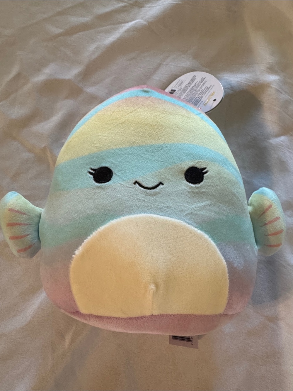 Squishmallow 7in
